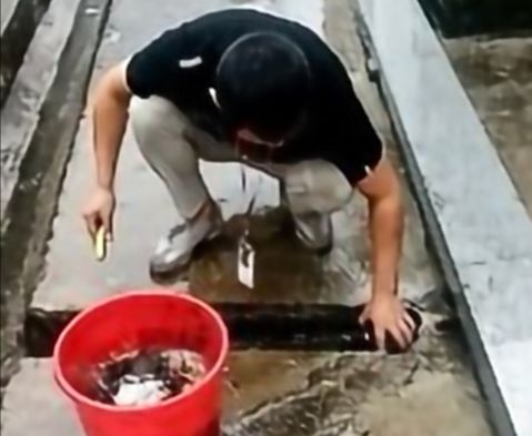 1607516038221930.jpg 2.jpg.jpg